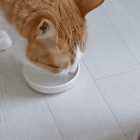 136acfd5be07a9ec00fcf5d6fce15fc4.gif