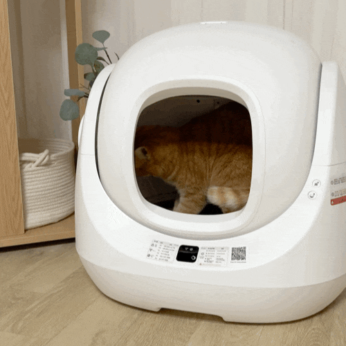 41133554ad9b48e2027dfa04aa90727a.gif