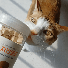 7ad4a546bf82839d338da4067c3db6cd.gif