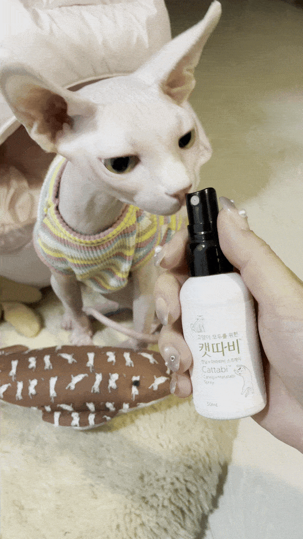 a3ae559a285f60d1b62647556a70436b.gif