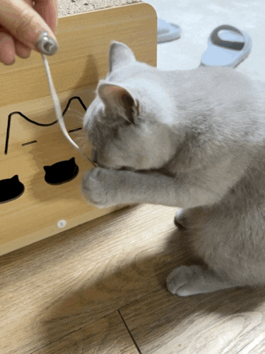 c365c87c48e9d2b26907736ce2db4167.gif