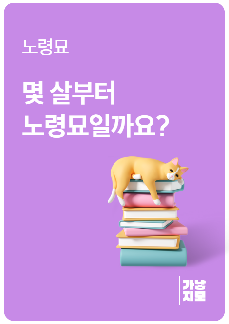 몇 살부터 노령묘일까요?