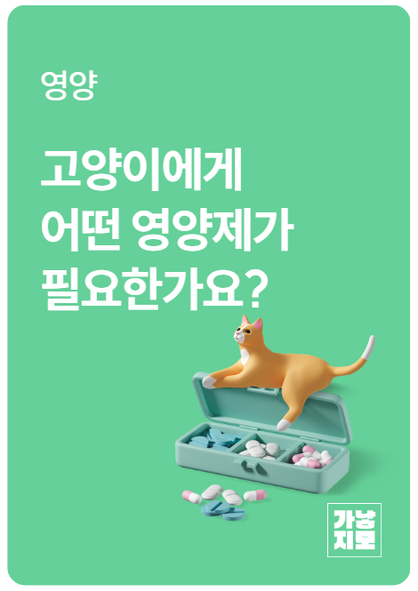 고양이에게 어떤 영양제가 필요한가요?