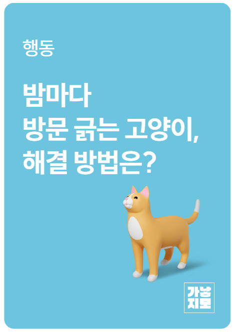 밤마다 방문 긁는 고양이, 해결 방법은?