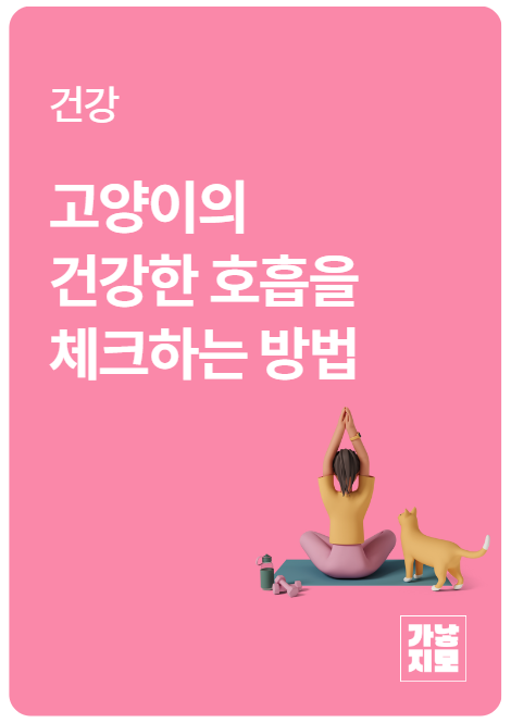 고양이의 건강한 호흡을 체크하는 방법