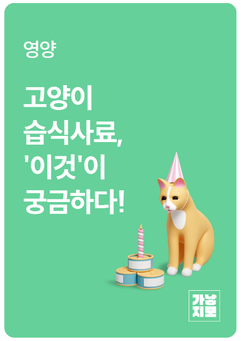 고양이 습식사료, '이것'이 궁금하다!