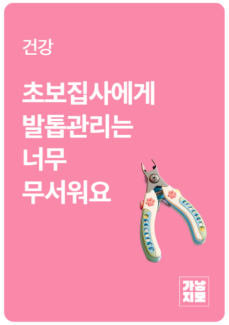 초보집사에게 발톱관리는 너무 무서워요